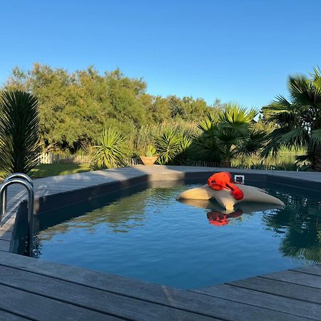 סן-מארי-דה-לה-מאר Cabane Le Flamant Avec Jardin, Piscine Et Parking מראה חיצוני תמונה